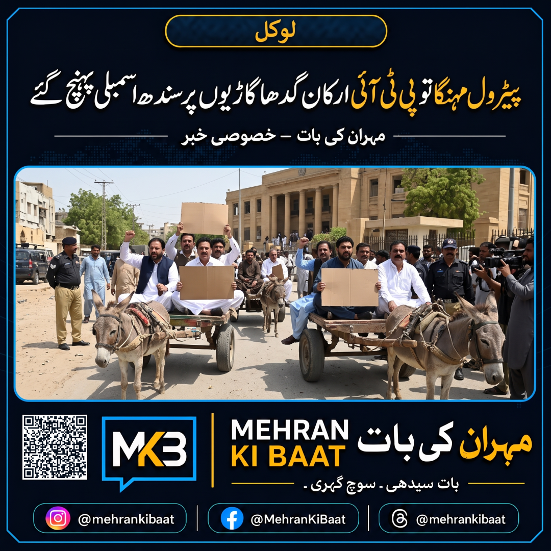 پیٹرول مہنگا تو پی ٹی آئی ارکان گدھا گاڑیوں پر سندھ اسمبلی پہنچ گئے